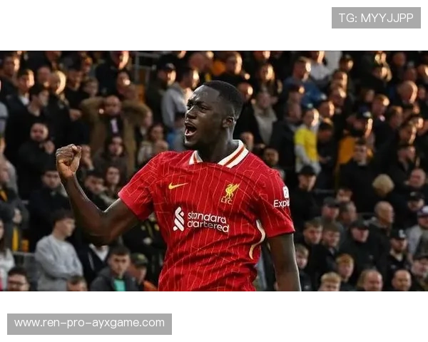 关于科纳特的最新动态：球迷舆论观察